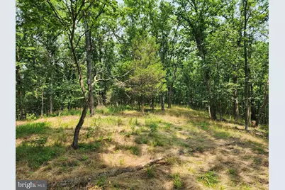 4078 Purgitsville Pike, Purgitsville, WV 26852 - Photo 62