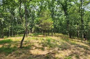 4078 Purgitsville Pike, Purgitsville, WV 26852 - Photo 62
