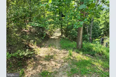 4078 Purgitsville Pike, Purgitsville, WV 26852 - Photo 54