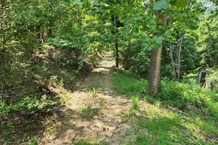 4078 Purgitsville Pike, Purgitsville, WV 26852 - Photo 54