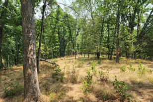 4078 Purgitsville Pike, Purgitsville, WV 26852 - Photo 56
