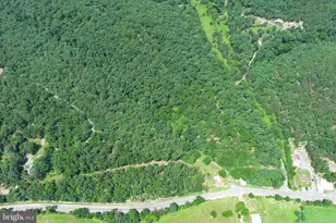 4078 Purgitsville Pike, Purgitsville, WV 26852 - Photo 44