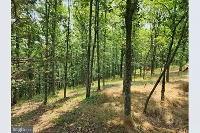 4078 Purgitsville Pike, Purgitsville, WV 26852 - Photo 64