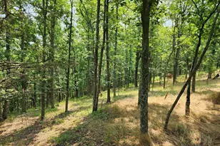 4078 Purgitsville Pike, Purgitsville, WV 26852 - Photo 64