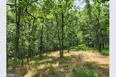 4078 Purgitsville Pike, Purgitsville, WV 26852 - Photo 66