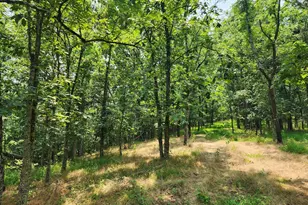 4078 Purgitsville Pike, Purgitsville, WV 26852 - Photo 66