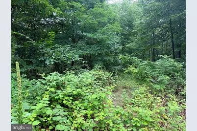 Tr D-15 Deer Path Road, Augusta, WV 26704 - Photo 10