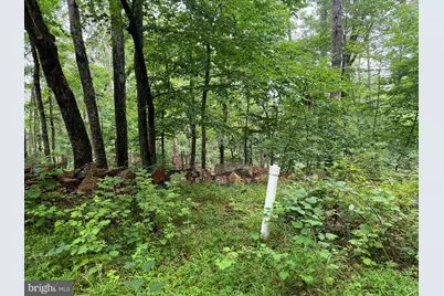 Tr D-15 Deer Path Road, Augusta, WV 26704 - Photo 8