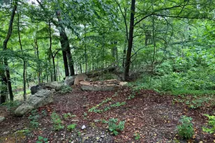 Tr D-15 Deer Path Rd, Augusta, WV 26704 - Photo 1