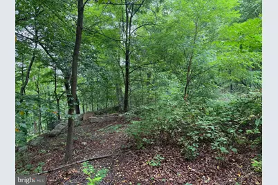 Tr D-15 Deer Path Road, Augusta, WV 26704 - Photo 12