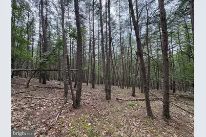 Lot 126 Bluffs Blue Beach Road, Springfield, WV 26763 - Photo 18
