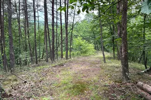 Lot 126 Bluffs Blue Beach Rd, Springfield, WV 26763 - Photo 1