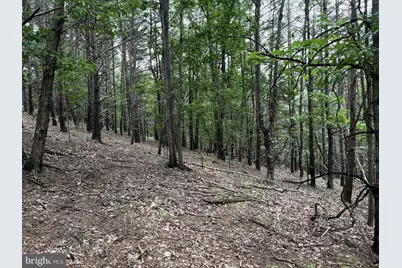 Lot 126 Bluffs Blue Beach Road, Springfield, WV 26763 - Photo 10