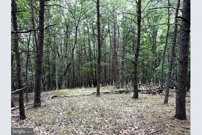 Lot 126 Bluffs Blue Beach Road, Springfield, WV 26763 - Photo 12