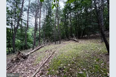 Lot 126 Bluffs Blue Beach Road, Springfield, WV 26763 - Photo 14