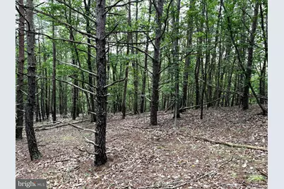 Lot 126 Bluffs Blue Beach Road, Springfield, WV 26763 - Photo 8
