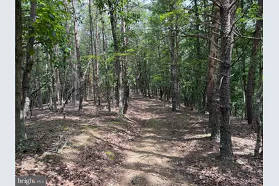 14 Shadow Knolls, Springfield, WV 26763 - Photo 14