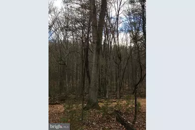 Lots 88 Orndorff Way, Yellow Spring, WV 26865 - Photo 4