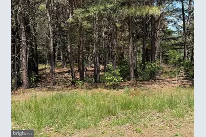 Lots 88 Orndorff Way, Yellow Spring, WV 26865 - Photo 2