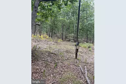 Lot 17 Section D Lake Ferndale, Springfield, WV 26763 - Photo 12