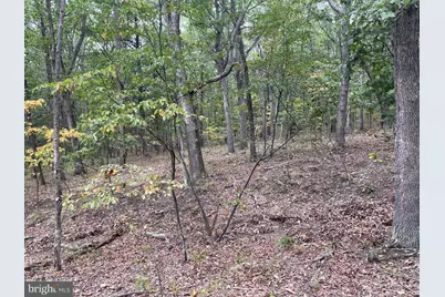 Lot 17 Section D Lake Ferndale, Springfield, WV 26763 - Photo 4