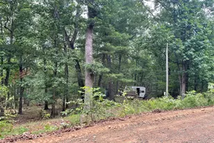Lot 17 Section D Lake Ferndale, Springfield, WV 26763 - Photo 1