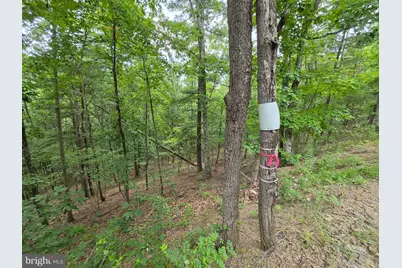 1981 Buffalo Hollow Road, Romney, WV 26757 - Photo 68