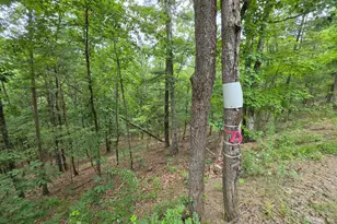 1981 Buffalo Hollow Rd, Romney, WV 26757 - Photo 68