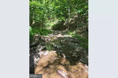 1981 Buffalo Hollow Road, Romney, WV 26757 - Photo 8