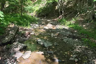 1981 Buffalo Hollow Rd, Romney, WV 26757 - Photo 8