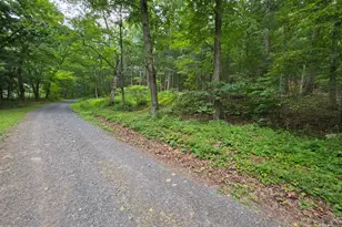 1981 Buffalo Hollow Rd, Romney, WV 26757 - Photo 66