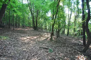 729 Anthony Bohrer Rd, Slanesville, WV 25444 - Photo 36