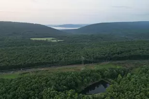 729 Anthony Bohrer Rd, Slanesville, WV 25444 - Photo 48