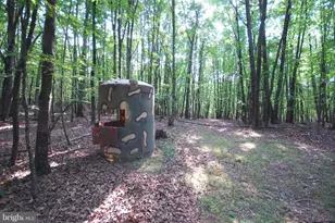 729 Anthony Bohrer Rd, Slanesville, WV 25444 - Photo 40