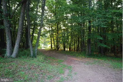 729 Anthony Bohrer Road, Slanesville, WV 25444 - Photo 18