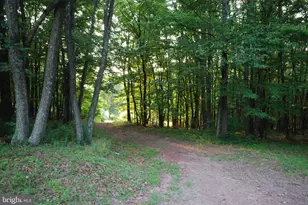 729 Anthony Bohrer Rd, Slanesville, WV 25444 - Photo 18