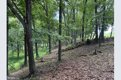 20.96 Acres Wilson's Lane, High View, WV 26808 - Photo 16