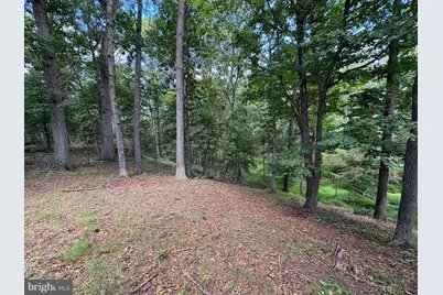 20.96 Acres Wilson's Lane, High View, WV 26808 - Photo 14