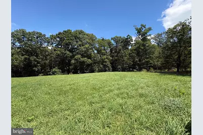 20.96 Acres Wilson's Lane, High View, WV 26808 - Photo 4