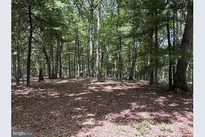 20.96 Acres Wilson's Lane, High View, WV 26808 - Photo 26