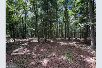 20.96 Acres Wilson's Lane, High View, WV 26808 - Photo 24