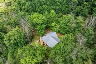 537 Lower Flats Dr, Yellow Spring, WV 26865 - Photo 62