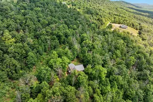 537 Lower Flats Dr, Yellow Spring, WV 26865 - Photo 64