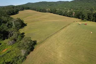 1895 Becks Gap Rd, Capon Bridge, WV 26711 - Photo 62