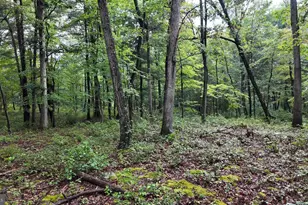 1895 Becks Gap Rd, Capon Bridge, WV 26711 - Photo 66
