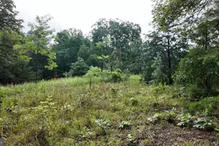 1895 Becks Gap Rd, Capon Bridge, WV 26711 - Photo 74