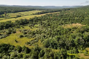 1895 Becks Gap Rd, Capon Bridge, WV 26711 - Photo 58
