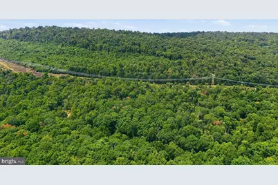 14.29Ac Whispering Pines Road, Slanesville, WV 25444 - Photo 10