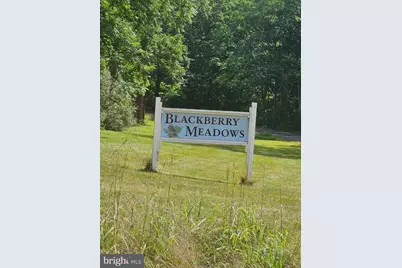 Lot 2 Blackberry Meadows No Physical Address, Paw Paw, WV 25434 - Photo 1