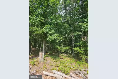 Lot 2 Blackberry Meadows No Physical Address, Paw Paw, WV 25434 - Photo 6